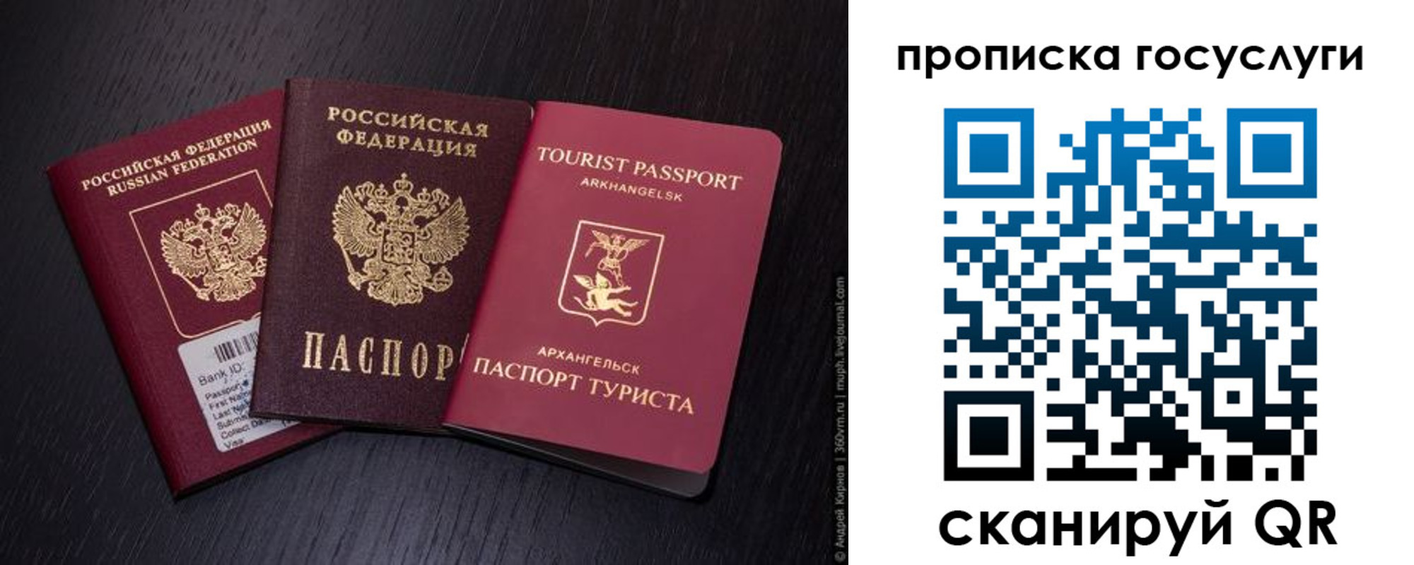 прописка 2025 в Добрянке